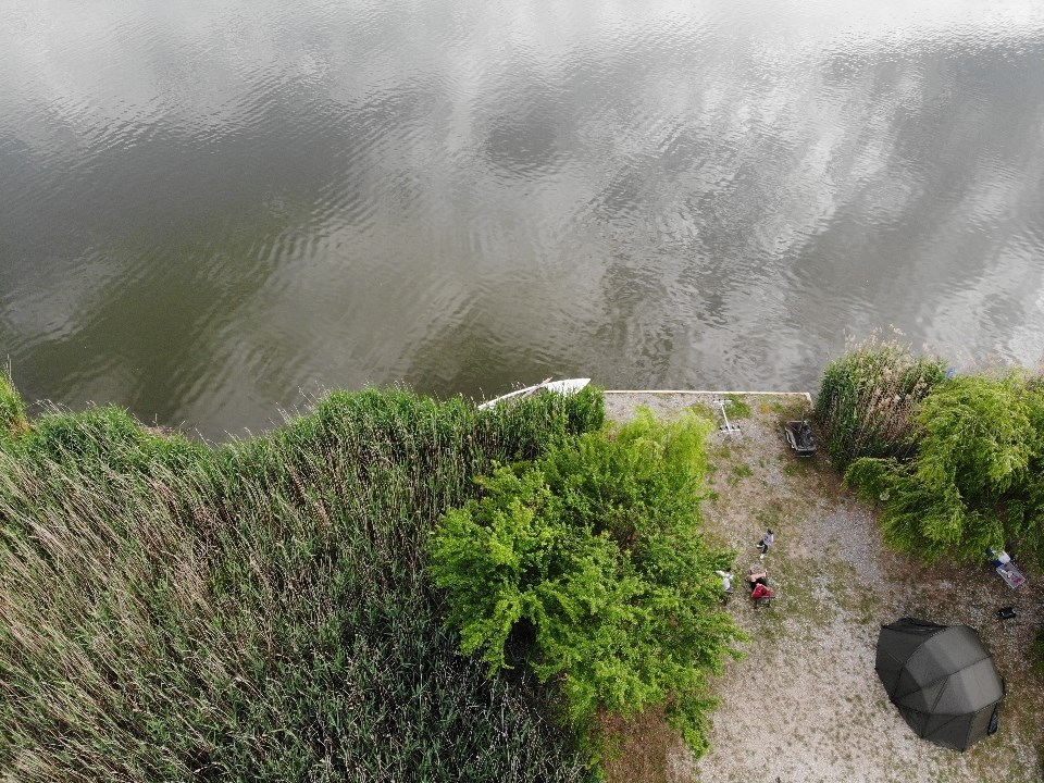 Tancabesti 5 - 7 iun. - AEA4B729E91C4B4092F9EA3C55F69A3A.jpg